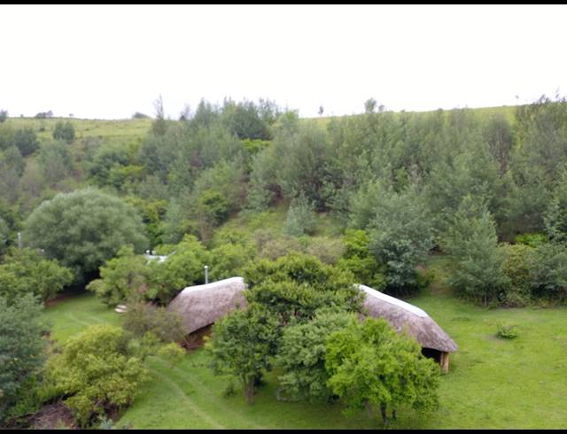 2,500HA FARM FOR SALE IN ESTCOURT RURAL